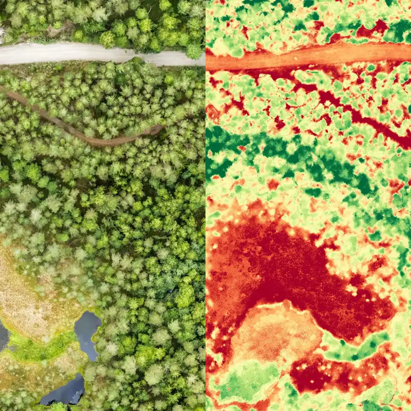 Vue aérienne de forêt et carte thermique