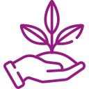 Main tenant une plante